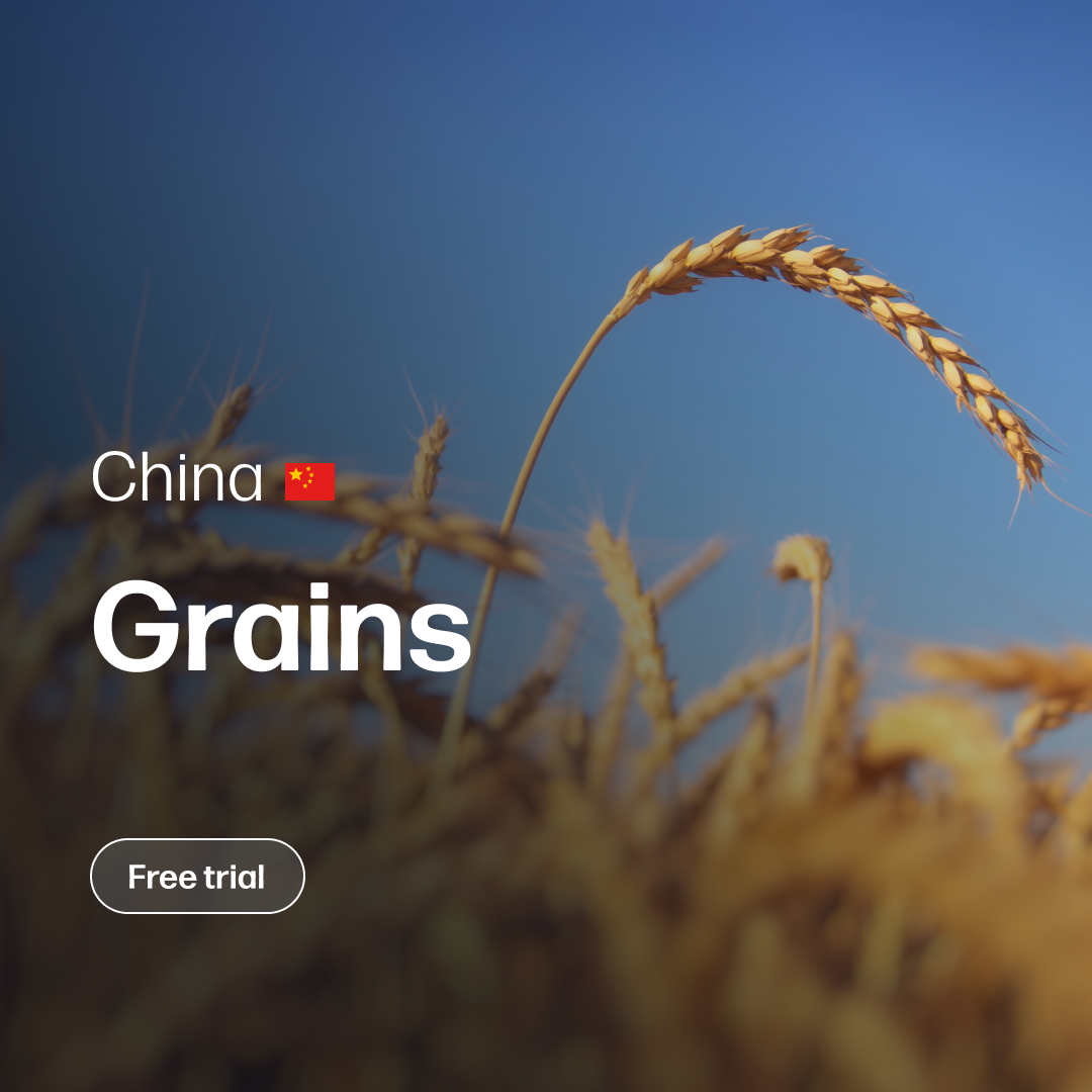 Close-up of ripe golden grain stalks bending in a clear blue sky, with overlay text mentioning China and an option to start a free trial for market insights.