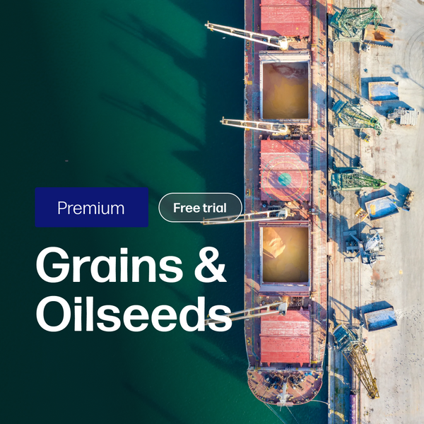 Grains & Oilseeds Market Reports | Premium