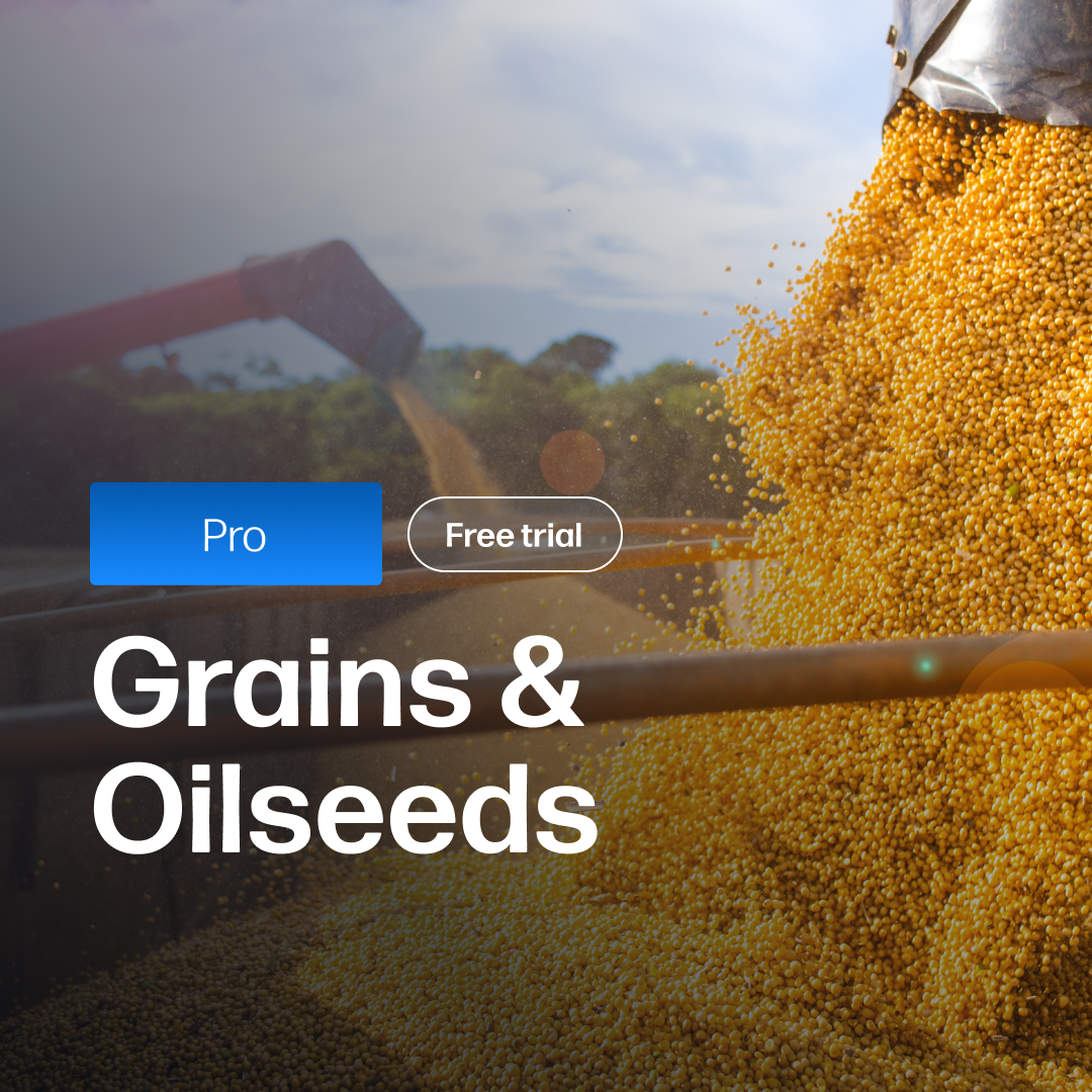 Close-up of yellow grains pouring from a hopper into a container in a farm field under a cloudy sky, illustrating market insights for Grains & Oilseeds Market Reports Subscription | Pro.