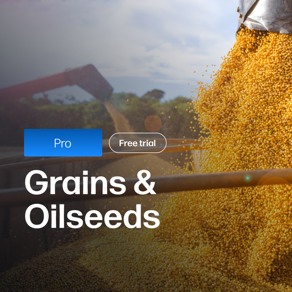 Grains & Oilseeds Market Reports | Pro