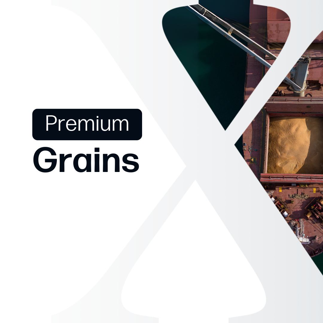 Grains Premium - Market Reports