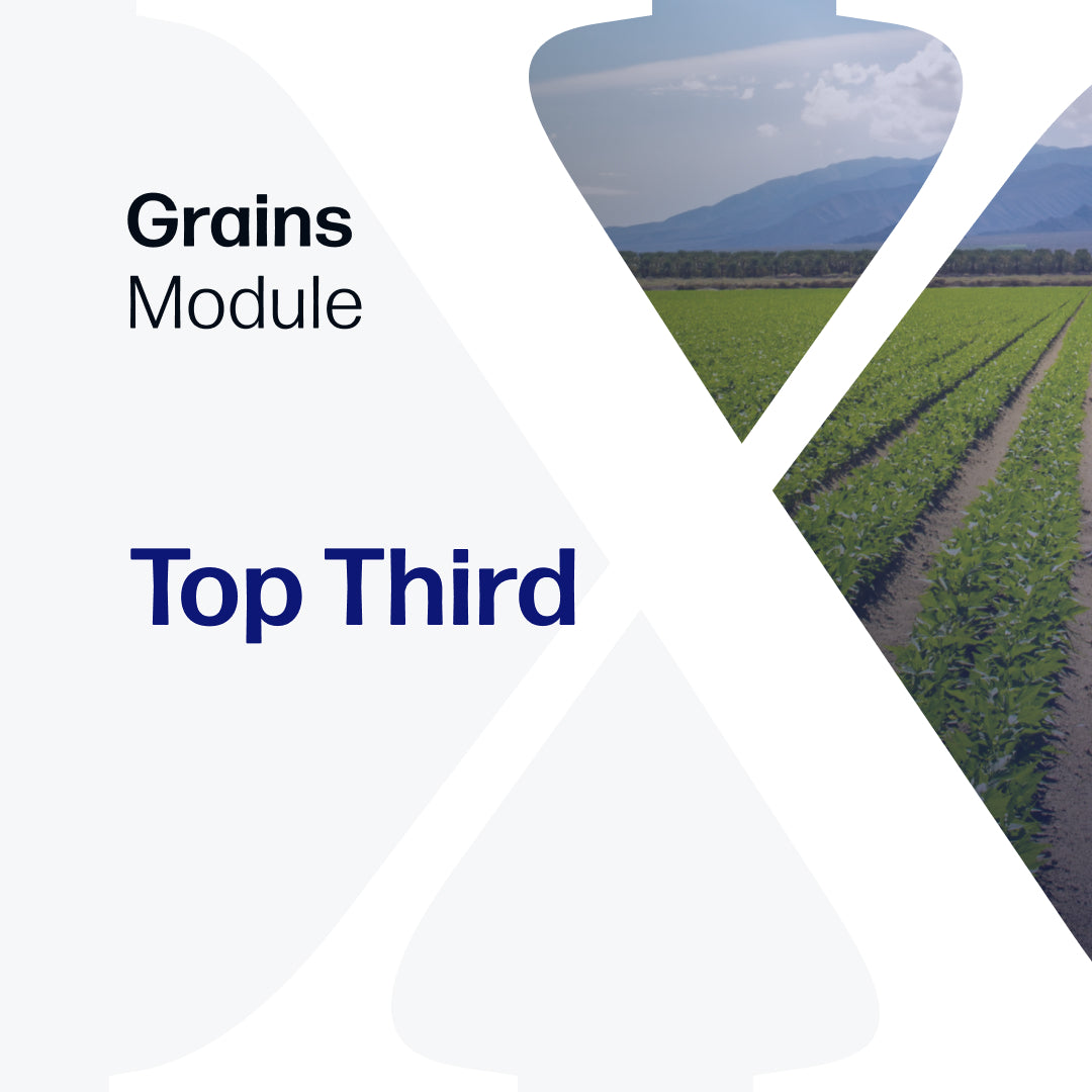 Top Third - Market Reports