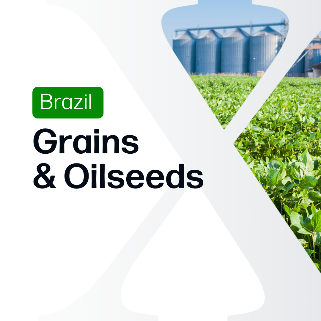 Grains and Oilseeds Brazil - Market Reports