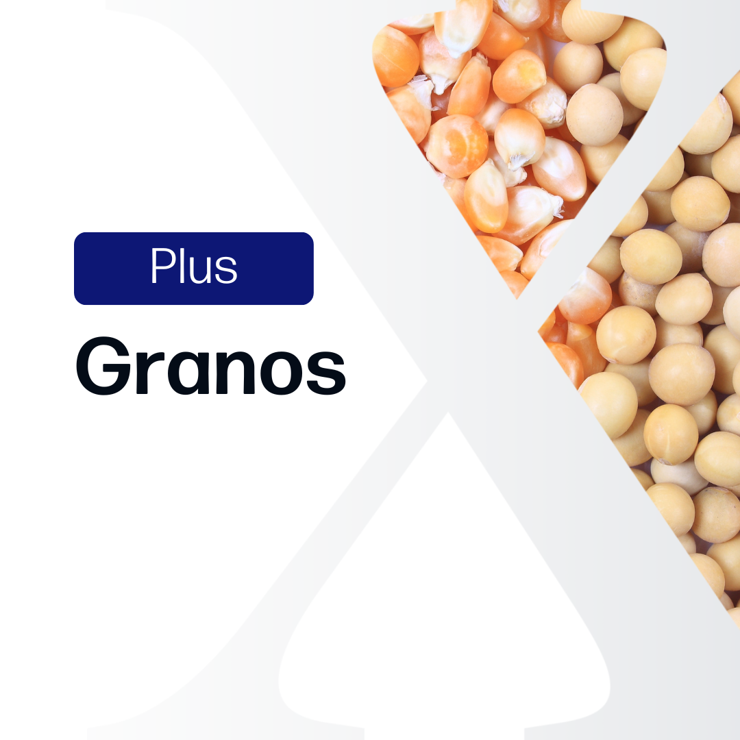 Granos Plus - Paraguay y Brasil