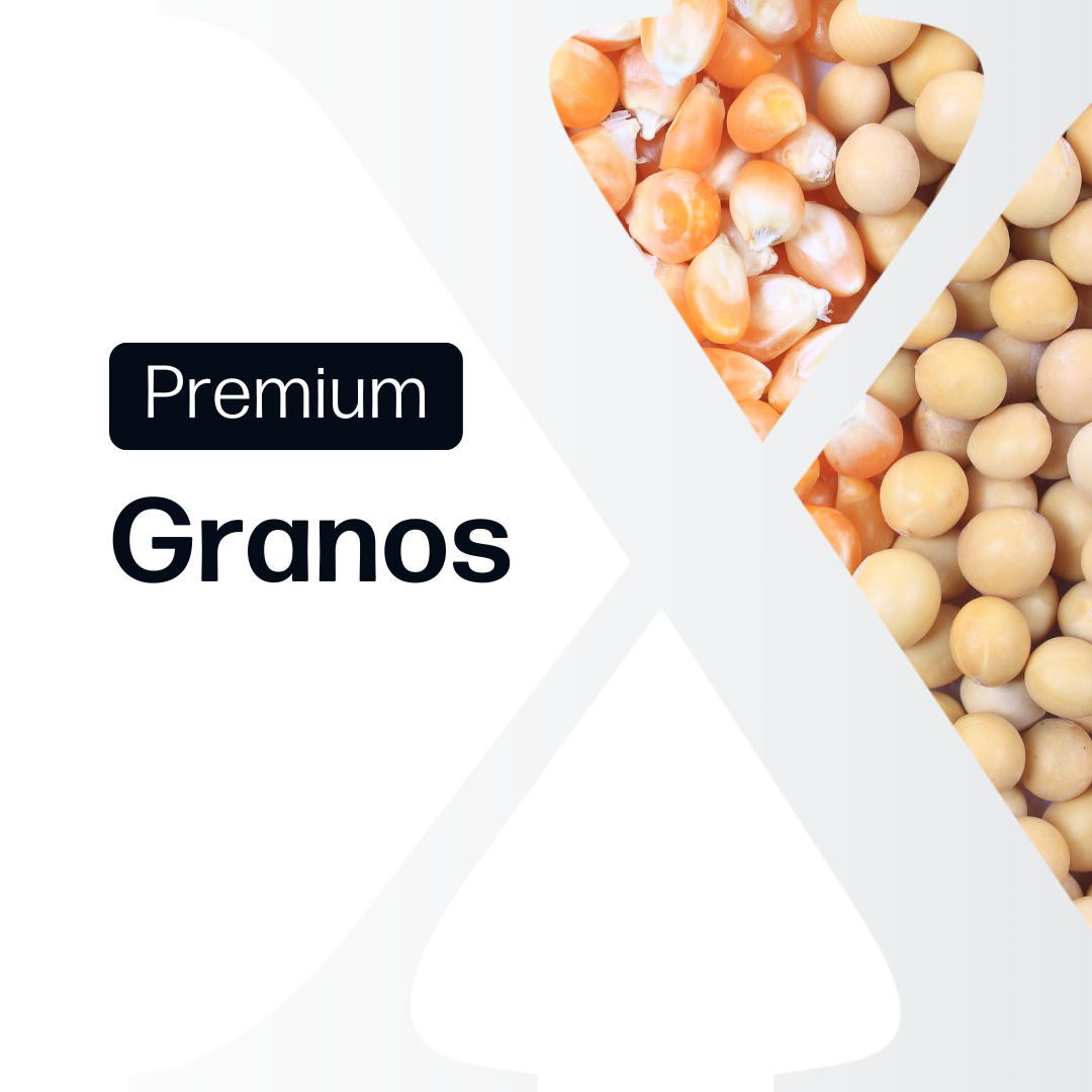 Granos Premium - Paraguay y Brasil