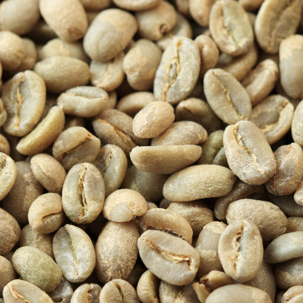 Close-up view of unroasted green coffee beans with smooth surfaces and natural variations in color, illustrating expert insights and exclusive market analysis for coffee market intelligence and report subscriptions.