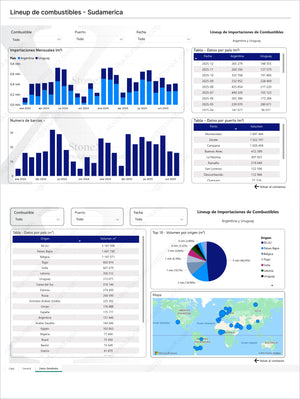 Page from Combustibles Premium - Brasil showing South American fuel import data with detailed charts of monthly volumes, ship counts, origin analysis, and geographic distribution, featuring Market Reports Subscriptions with expert insights and exclusive market analysis. - report example 5