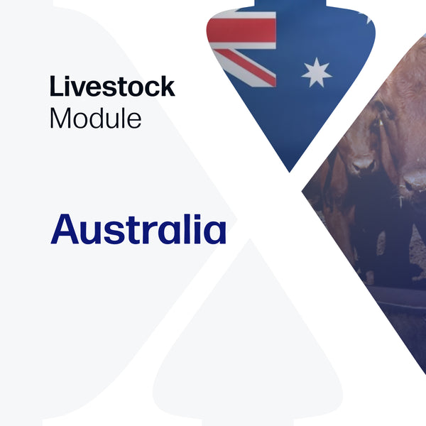 Australian Cattle & Beef  - Market Reports Subscription