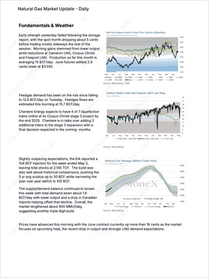 Energy Pro - Market Reports Subscription featuring daily natural gas market update with fundamental analysis, storage data, LNG exports, and weather impacts. Market Reports Subscriptions. Expert insights and exclusive market analysis. - report example 19