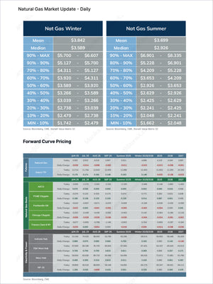 Energy Pro - Market Reports Subscription featuring daily natural gas price and volume distribution metrics for winter and summer seasons alongside detailed forward curve pricing across multiple hubs. Market Reports Subscriptions. Expert insights and exclusive market analysis. - report example 21