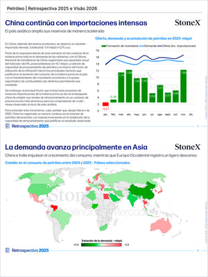 Page from Combustibles Premium - Brasil presenting a 2025 retrospective and 2026 outlook on global petroleum import trends, focusing on intensified demand in Asia with detailed market insights, featuring Market Reports Subscriptions with expert insights and exclusive market analysis. - report example 18
