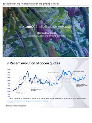 Cocoa Premium - Market Reports Subscription featuring a detailed market intelligence report with cocoa demand context, grinding estimates, and recent price trends analysis. Market Reports Subscriptions. Expert insights and exclusive market analysis. - report example 10