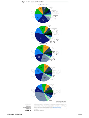 Page from the Sugar - Market Reports Subscription displaying multiple pie charts of Brazil sugar exports, highlighting key buyers and destinations with detailed market trends and expert insights for Market Reports Subscription. - report example 26