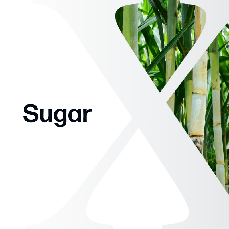 Sugar - Market Reports Subscription cover featuring close-up imagery of sugarcane stalks and leaves, delivering Market Reports Subscriptions with expert insights and exclusive market analysis.
