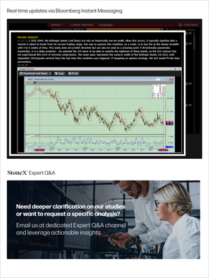 Tactical Strategies Premium: Global Macro - Market Reports Subscription showing a detailed market chart with Bollinger Bands and expert annotations, emphasizing market insights and price forecasting. Market Reports Subscriptions. Expert insights and exclusive market analysis. - report example 1