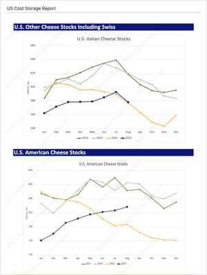Line charts illustrate U.S. Italian and American cheese stock trends from 2022 to 2025 with monthly data for Market Reports Subscription featuring expert insights and exclusive market analysis. Dairy U.S. Farmers - Market Reports Subscription. - report example 12