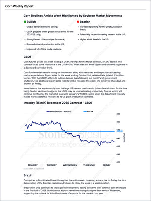 Grains Brazil - Market Reports Subscription featuring detailed weekly corn market analysis with bullish and bearish outlooks, US export trends, Brazil crop updates, and price forecasting charts, offering expert insights and exclusive market analysis. - report example 9