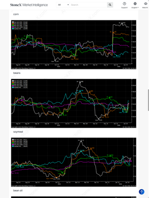 CBOT Agricultural Options Report Subscription featuring dynamic commodity price trend charts for corn, beans, soymeal, and bean oil with Market Reports Subscriptions. Expert insights and exclusive market analysis. - report example 3
