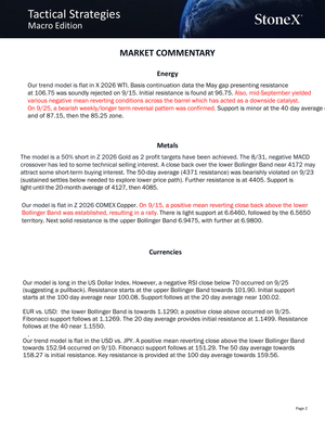 Tactical Strategies Global Macro Reports | Essential - report example 6