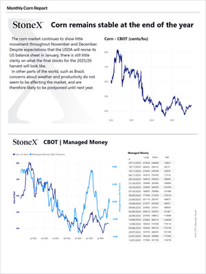 Grains Brazil - Market Reports Subscription featuring detailed monthly corn market analysis with supply, demand, price trends, managed money positions, expert insights, and exclusive market analysis. - report example 19