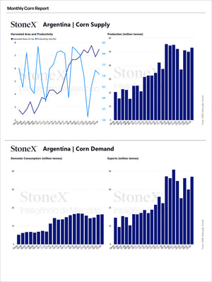 Grains Brazil - Market Reports Subscription featuring detailed charts on Argentina’s corn supply and demand, including harvested area, productivity, production, consumption, and export trends with expert insights and exclusive market analysis. - report example 10