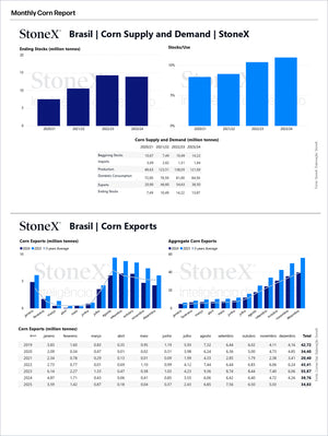 Grains Brazil - Market Reports Subscription featuring detailed charts analysing Brazil’s corn supply, demand, stocks, and export trends with expert insights and exclusive market analysis. - report example 14